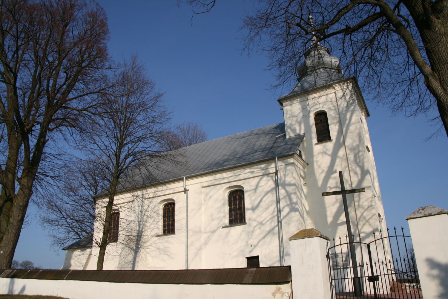 Cisów